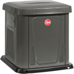 Generator, 12kW NG/LP Res Standby Air-Cooled SEREGEN 100